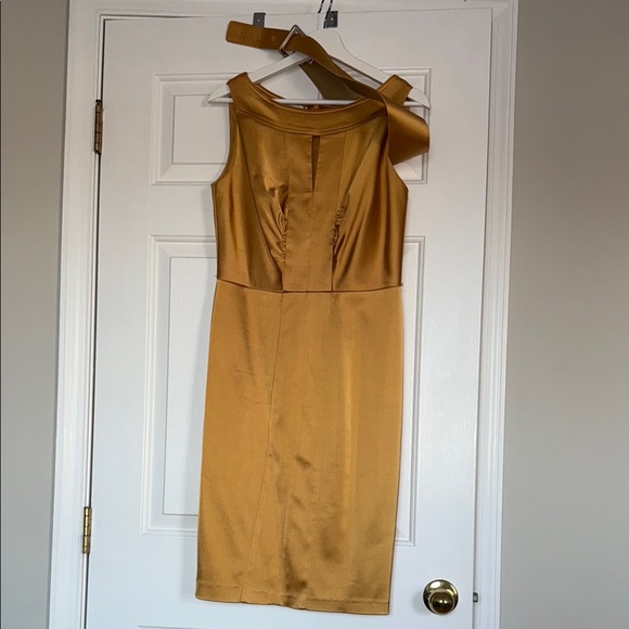 Elegant Gold Sleeveless Dress - Picture 1 of 1